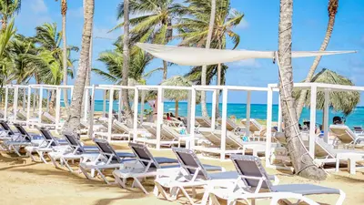 a row of lounge chairs on the beach at Beach Front Apartments by Playa Palmera in Punta Cana