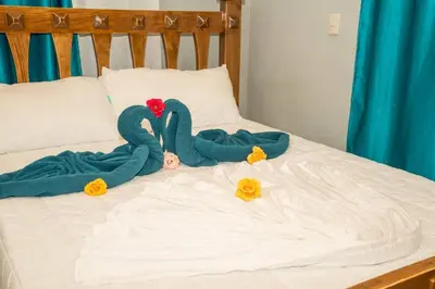 two swans made out of towels on a bed at The American Dream in Jarabacoa