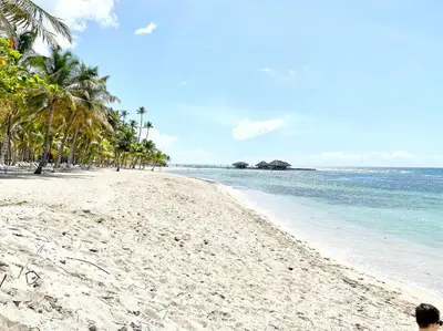 a sandy beach with palm trees and the ocean at Beautiful and peaceful 2-bedroom family condo in Juan Dolio