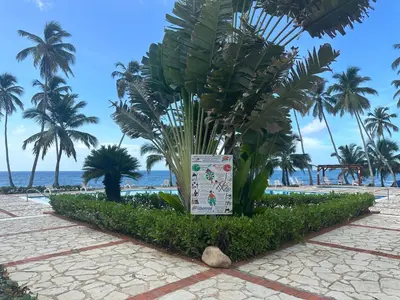 a sign in front of a beach with palm trees at Apartamento ll Vista al Mar Albatros BY JU Juan Dolio in Juan Dolio