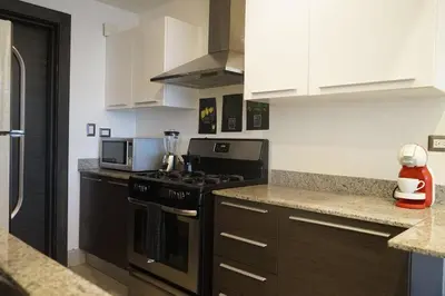 a kitchen with black appliances and white cabinets at Dream Rooftop Downtown View in Santo Domingo