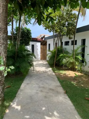 a driveway leading to a house at La casita del sol in Las Terrenas