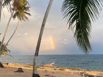 a rainbow in the sky over the ocean between two palm trees at Estancia Nana Tu Refugio con Vista al Mar, Piscina, wifi, lavadora secadora Reserva Ahora in Juan Dolio