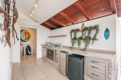 a kitchen with a counter with ivy on the wall at Unique gem penthouse in playa bonita in Las Terrenas