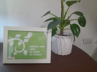 a plant in a white vase sitting on a table at Ballenas beach C8 in Las Terrenas