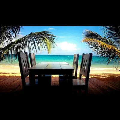 a table and chairs on a beach with the ocean at Ballenas beach C8 in Las Terrenas