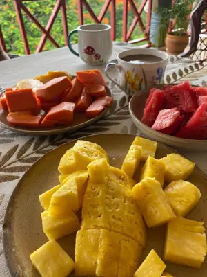 two plates of fruit on a table with cups of coffee at Casa Del Sol in El Limón