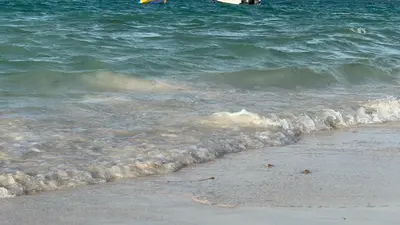Gallery image of Caminando a Playa Bávaro in Punta Cana