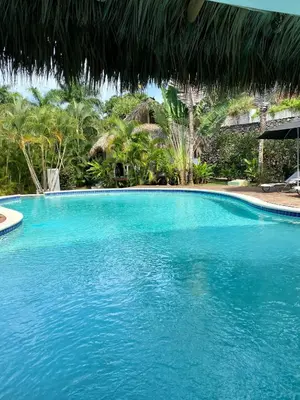 a large blue swimming pool with a straw umbrella at Chalet tropical au cœur de Las Terrenas in Las Terrenas