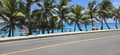 a road with palm trees on the side of a beach at Villa el real los patos in Los Patos