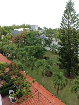 an aerial view of a park with palm trees at Acuario residencial 1 in La Viva