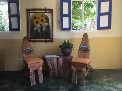 two chairs in a room with a mirror and a plant at Los Bohios Campo Añil in Jarabacoa