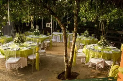 a group of tables and chairs with green linens and a tree at Los Bohios Campo Añil in Jarabacoa