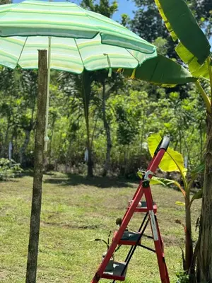 Gallery image of Camping La Bucara in Cabeza de Vaca