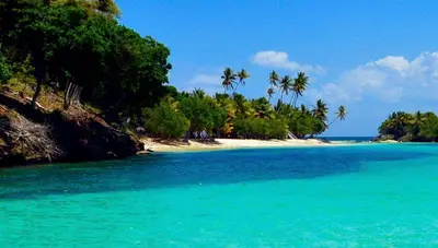 a beach with palm trees and blue water at Villa KAMBUSA in Las Galeras
