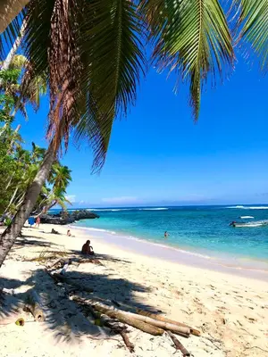 a beach with palm trees and people in the water at Villa KAMBUSA in Las Galeras