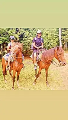 two people riding on horses in a field at Villa KAMBUSA in Las Galeras
