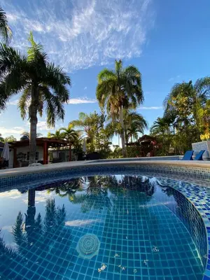 a swimming pool with palm trees in the background at Villa El cocotero in La Joya