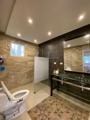 a bathroom with a toilet and a large mirror at Villa El cocotero in La Joya