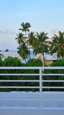 a white fence with palm trees in the background at apartamento luxury in La Laguna