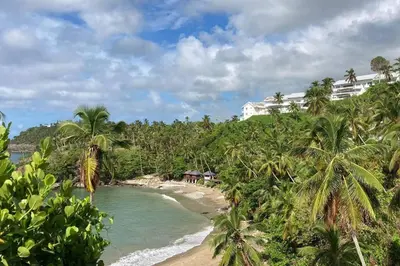 a beach with palm trees and a hotel in the background at Ocean Front Deluxe Condo in Punta Balandra