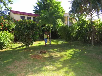 a young child is standing next to a palm tree at La Rancheta in Las Galeras