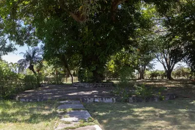 a stone path under a tree in a park at Casa Palmar in Palmar Arriba