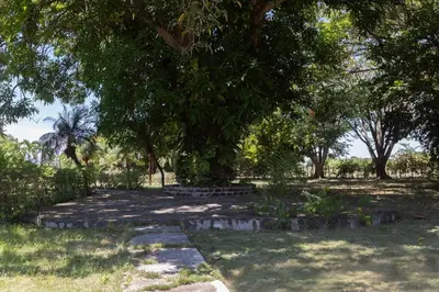 a group of benches under a tree in a park at Casa Palmar - Finca in Palmar Arriba