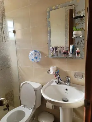 a bathroom with a toilet and a sink at Elegante apartamento en San isidro in Mendoza