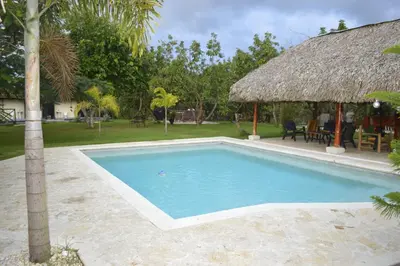 a swimming pool in a yard with a thatch roof at Villa Doña Plinia in El Cruce
