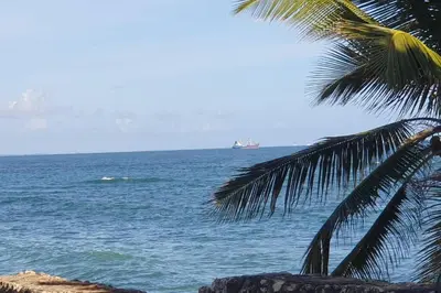 a palm tree on the beach with a ship in the ocean at 501 Apto Entero Stunning Malecón Roof Condo in Villa Francisca