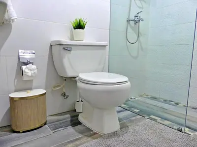 a white toilet in a bathroom with a shower at Villa Olga Studio in Rincón Largo