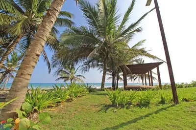 a row of palm trees on a beach with the ocean at Direct View and Access to Beach! in Eslabón