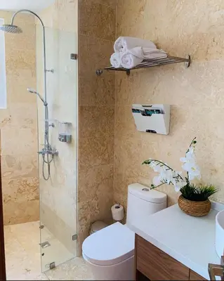 a bathroom with a toilet and a glass shower at Luxury Penthouse Coson bay in Las Terrenas