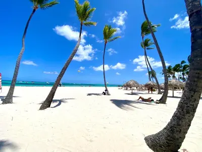a group of palm trees on a beach at The Perfect Place for Holiday in los Corales RD in Punta Cana