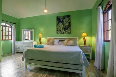a green bedroom with a bed and two windows at Cabarete Oceanview Villa Pool Oasis Beach Access in Cafemba
