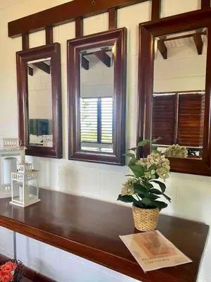 a counter with three windows and a potted plant on it at Villa Carmen en Jarabacoa in La Represa