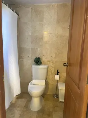 a bathroom with a toilet with a plant on top of it at Apartamento en Punta Cana, White sands in Punta Cana