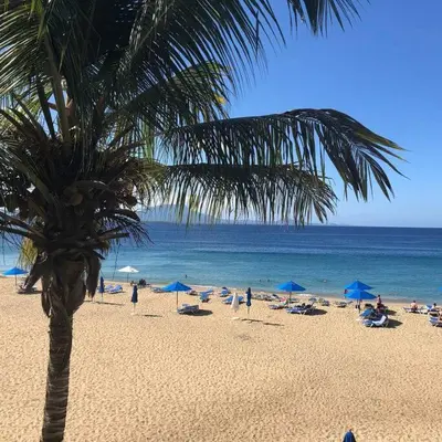 Gallery image of Sosua Tropic Escape, Pool & Security in Sosúa