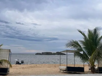 a beach with a palm tree and a body of water at Casita Azul in Isabel de Torres