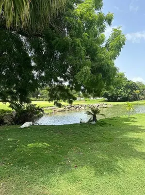 a pond in a park with a tree and grass at Hermosa villa en metro country club Juan dolio in Paraíso