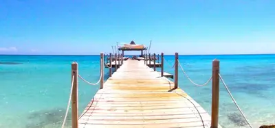 a wooden pier in the ocean with a beach at Cadaques Caribe Palmera 101 in Bayahibe