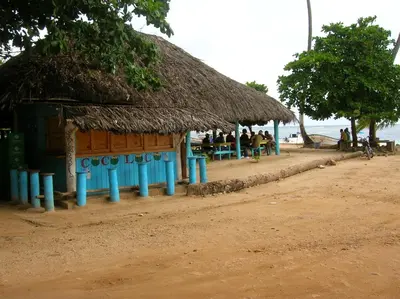 a hut with a straw roof on the beach at Casa Por Que No in Las Galeras