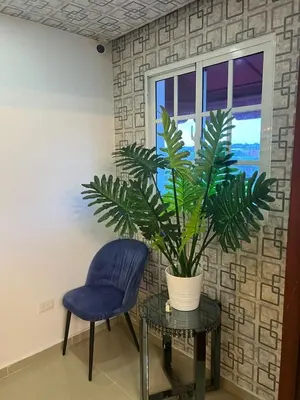 a blue chair and a plant on a table next to a window at Con in Santo Domingo