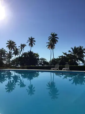 a swimming pool with palm trees in the background at Ático riomar segundo piso in Santa Bárbara de Samaná