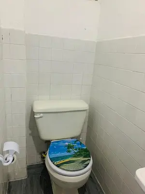 a bathroom with a toilet with a painting on the seat at Tropical Estudio En El Centro De La Ciudad in San Felipe de Puerto Plata