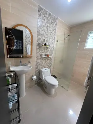 a bathroom with a toilet and a sink and a shower at Apartamento con terraza y jacuzzi privado in Santo Domingo