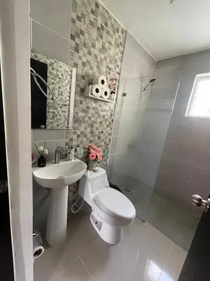 a bathroom with a toilet and a sink and a shower at Apartamento con terraza y jacuzzi privado in Santo Domingo