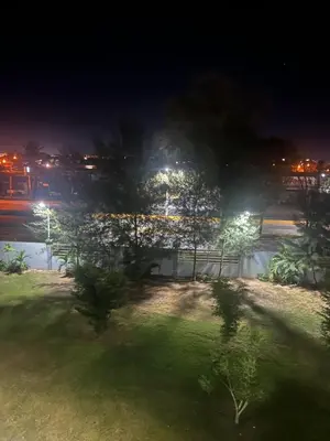 a night view of a park with trees and lights at Sol tropical in La Grúa