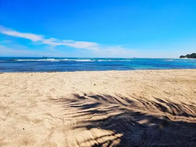 a shadow of a tree on a sandy beach at Cozy Apartment in Gated Community Costambar, Puerto Plata in San Felipe de Puerto Plata